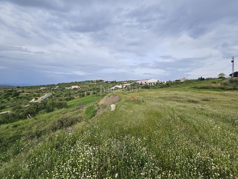 Foto e0250dc4-0ff8-47cd-ae6d-ea613f312181. Finca rústica a Tolox