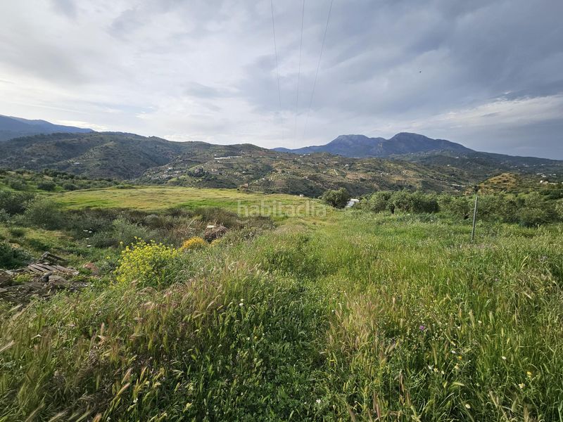 Foto e6bdb26a-0499-4925-adbe-b0cdb5eee6c4. Finca rústica a Tolox