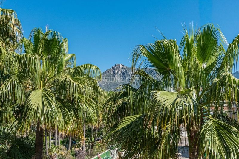 Foto 4b637c03-42ed-4152-9d1b-40672601e290. Apartament amb calefacció aparcament piscina a La Carolina - Guadalpín Marbella