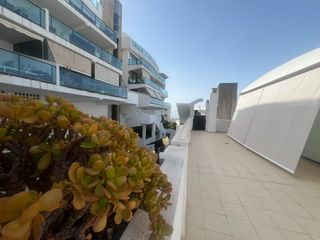 Àtic  1 calle notarios. Único ático con 210 m2 de terraza, jacuzzi, licencia turística y