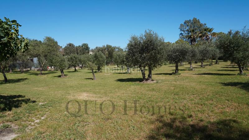 Foto d91e086c-49f5-4087-a2e7-9746d9221cb9. Bauernhof in n/a in Picadueñas Jerez de la Frontera