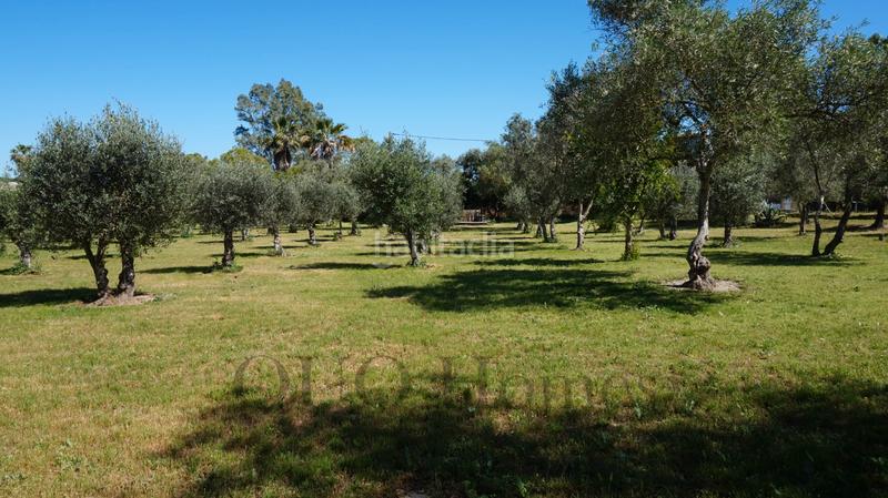 Foto 46443c36-ab6e-4557-97d9-90861a5fbc04. Country house in n/a in Picadueñas Jerez de la Frontera