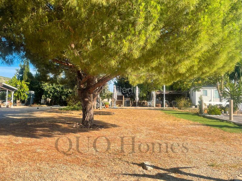 Foto 9d2bc4e7-5bba-4cfd-acc1-0dd90171772b. Country house in n/a in Picadueñas Jerez de la Frontera