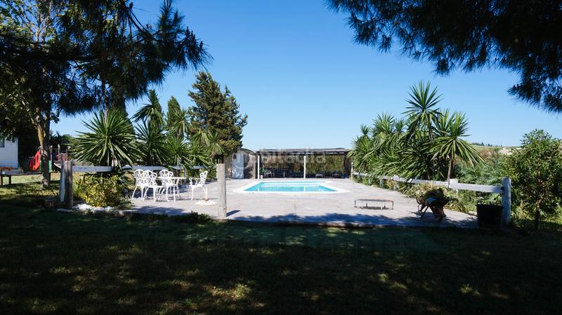 Foto a4110a88-aed1-4168-9ff1-e62b5523f240. Mas dans n/a dans Picadueñas Jerez de la Frontera