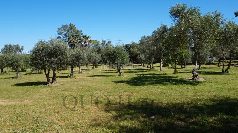 Foto 37676307-6043-414b-bdaa-0150d21686a8. Masía en n/a en Picadueñas Jerez de la Frontera