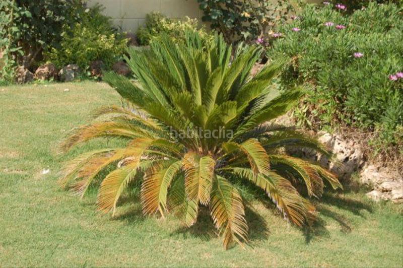 Foto 06cd6474-65d7-49a5-83b6-3581d28b829f. Alquiler masía bonita finca en alquiler con casa ubicada en bonita zona muy tranquila, con vistas impresionantes. en Cártama