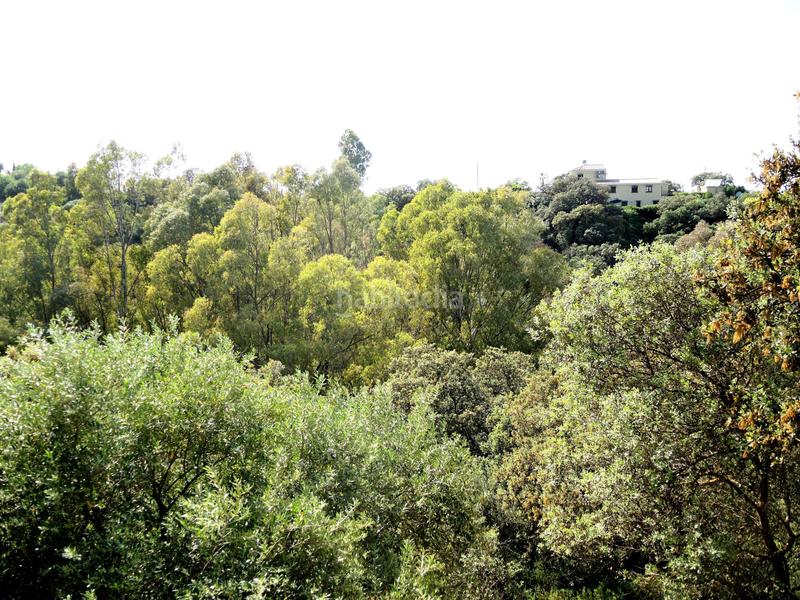 Foto 171eab67-917c-4db1-bb0b-dbb9f153bf9f. Bauernhof mit heizung parking pool in Centro Alhaurín el Grande