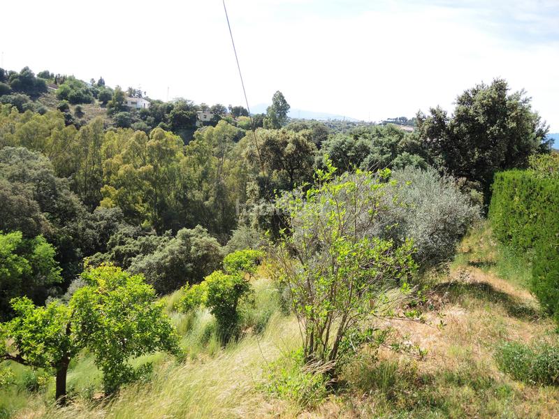 Foto 1f9833f5-22c0-450c-9c89-aee9499d27dc. Bauernhof mit heizung parking pool in Centro Alhaurín el Grande