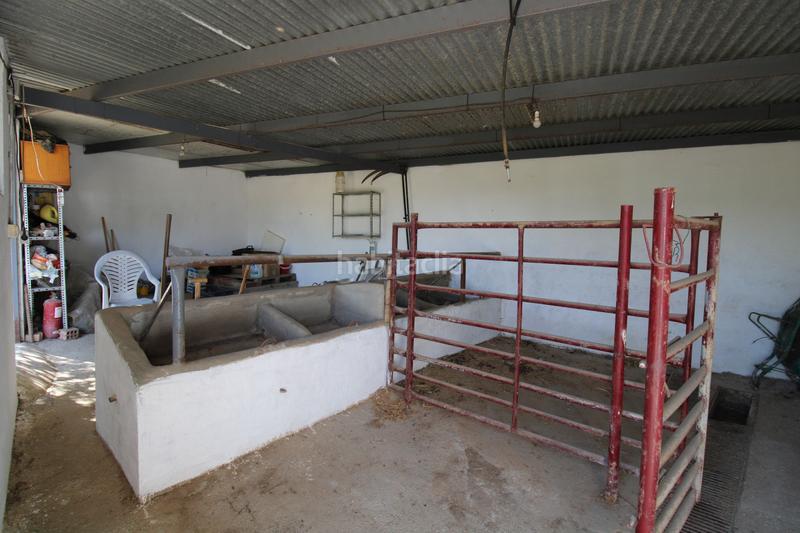 Foto 0a598ec1-86e6-4d05-abfa-d253fa57d49e. Mas avec piscine dans El Romeral-Peñón de Zapata Alhaurín de la Torre