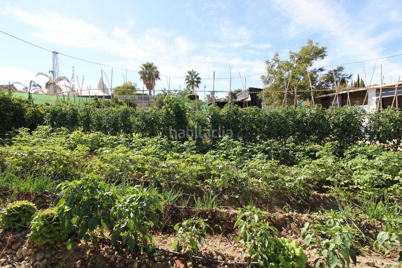 Foto 62a7c249-5fea-442b-afd2-18ccdcfe374d. Mas avec piscine dans El Romeral-Peñón de Zapata Alhaurín de la Torre