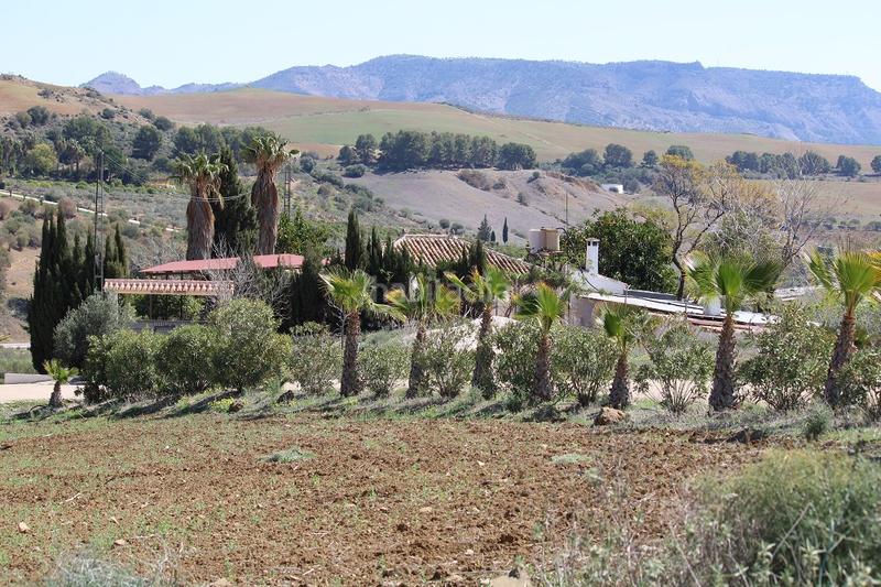 Foto 49d64828-bc81-4941-abfd-5aad56d72893. Bauernhof mit kamin pool in Casarabonela