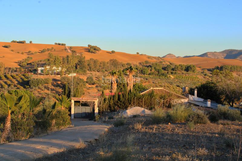 Foto 62d91d9a-eb8f-4580-91ce-d9ce9b4e99e7. Bauernhof mit kamin pool in Casarabonela