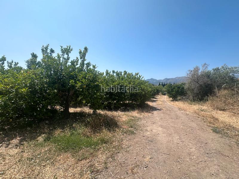 Foto b736c718-c6a1-4aee-868b-598091026b3e. Fondo rustico in Buenavista-Lauro Golf Alhaurín de la Torre