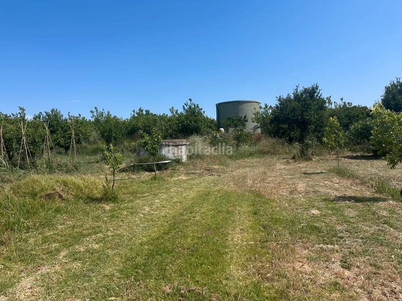 Foto c2e7670b-705f-4230-84ae-afa6f6151adb. Fondo rustico in Buenavista-Lauro Golf Alhaurín de la Torre