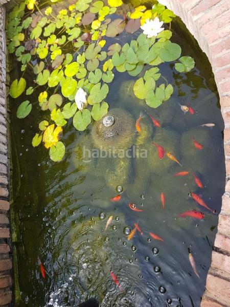 Foto 706a017c-d34a-4adf-98e4-4c2d876404e1. Chalet mit parking pool in Manantiales - Lagar - Cortijo Alhaurín de la Torre