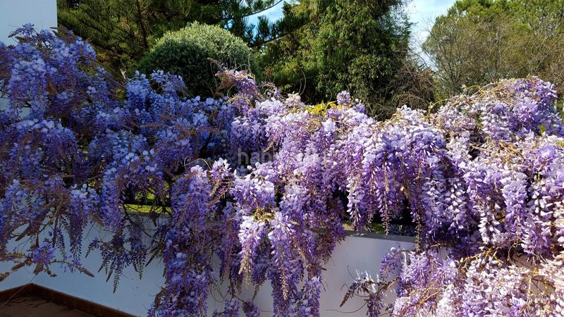 Foto b2c0e182-d693-4f0c-8b11-93923f2a221d. Xalet amb aparcament piscina a Manantiales - Lagar - Cortijo Alhaurín de la Torre