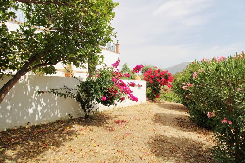 Foto aead77b5-1b91-4ac6-ae0a-6b03805e5c8a. Masia amb xemeneia calefacció aparcament piscina a Mijas
