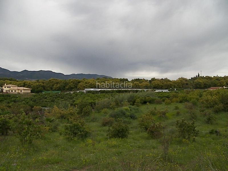 Foto 8d8417b5-3b23-4bcf-b002-24ff76a4316a. Terreno residencial parcela urbana ubicada en el lagar de las pitas en Alhaurín de la Torre