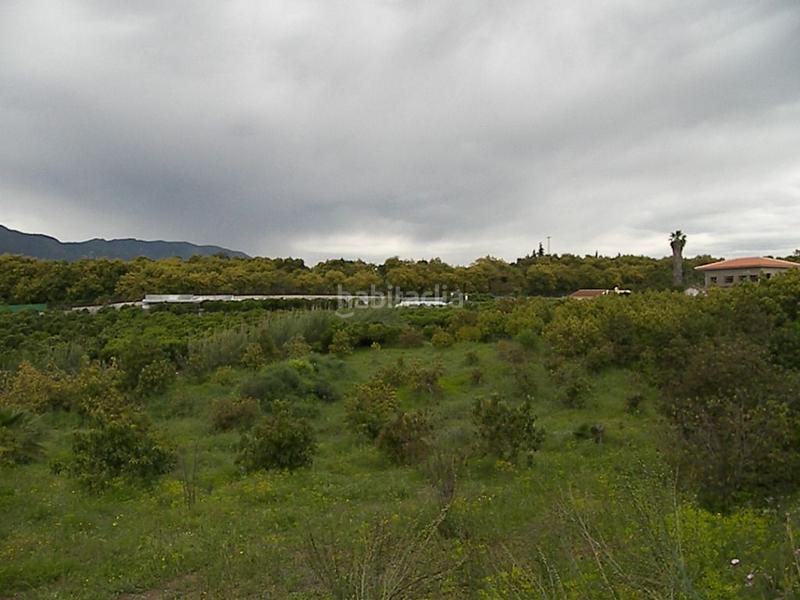 Foto ded22861-146b-413e-a17c-55a76da6393c. Terreno residencial parcela urbana ubicada en el lagar de las pitas en Alhaurín de la Torre