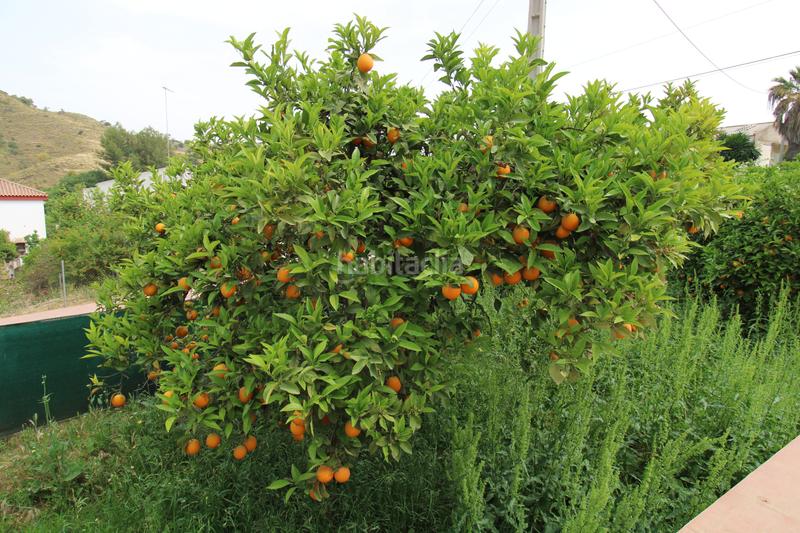 Foto a3edde15-033d-4f91-9e1a-8bc428370406. Masia amb aparcament a Coín