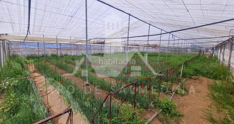 Foto c806960f-74da-4c99-9461-289c798c92d2. Masia amb aparcament a Chipiona norte Chipiona