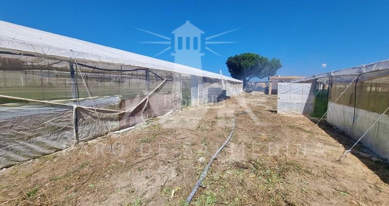 Foto ee4059ca-6347-4b07-8c48-f7761124dbd0. Masia amb aparcament a Chipiona norte Chipiona