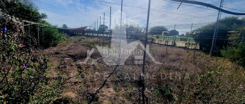 Foto a629b67e-5a95-4f12-9448-ffb12f098f65. Propriété dans Las Tres Piedras - Costa Ballena Chipiona