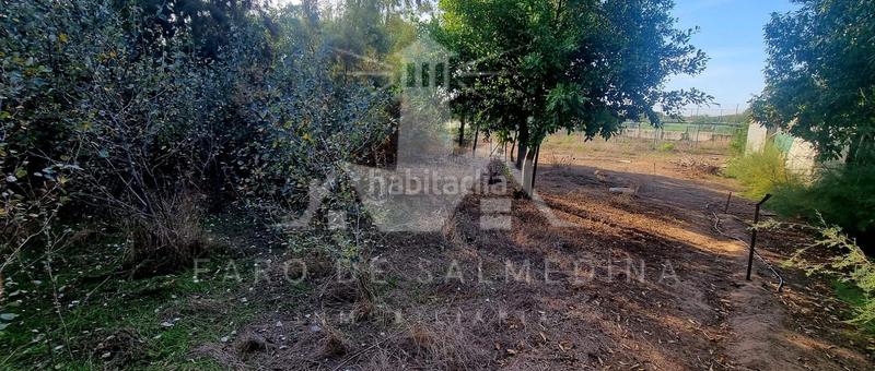 Foto c2badbd3-e03d-4a45-a0f5-dfe9122b0ded. Propriété dans Las Tres Piedras - Costa Ballena Chipiona