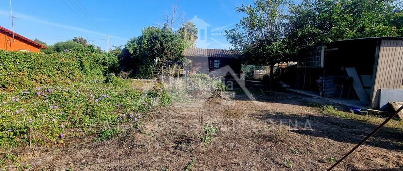 Foto c37a6eed-1be1-416f-83b3-ab73b69c0c11. Propriété dans Las Tres Piedras - Costa Ballena Chipiona