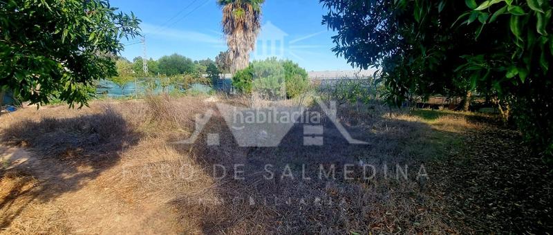 Foto e33ca44f-ff2a-49b6-acac-fee15cb97295. Propriété dans Las Tres Piedras - Costa Ballena Chipiona