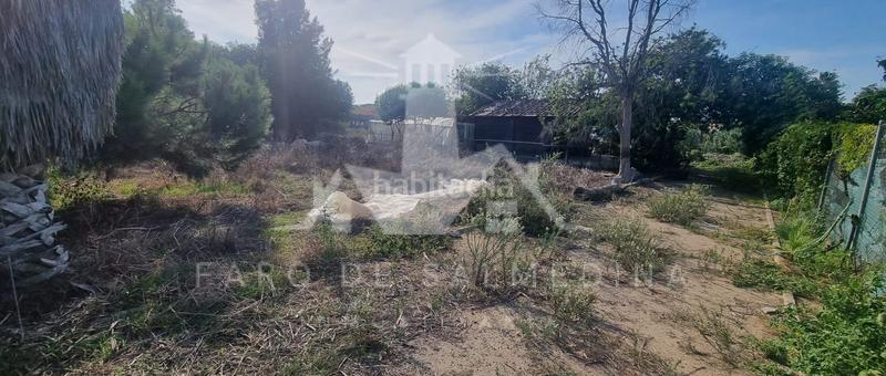 Foto 41f223fb-c4bc-47d4-abb7-fcd234c29249. Finca rústica en Las Tres Piedras - Costa Ballena Chipiona