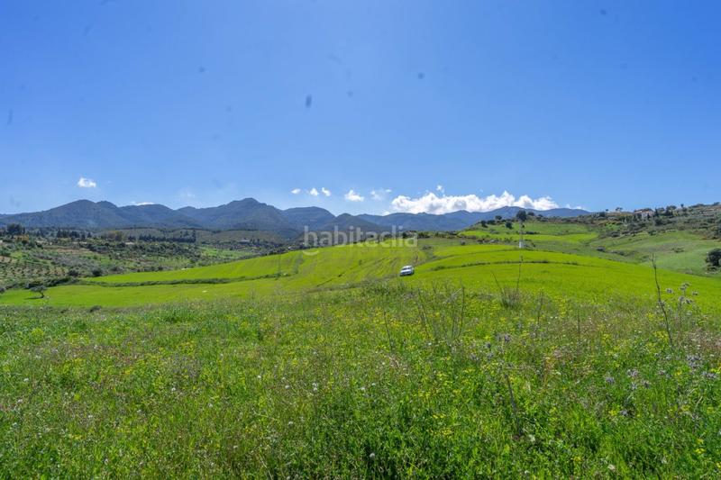 Foto 11a6a5f5-5788-4d93-85f8-7316ae228260. Fondo rustico in Buenavista-Lauro Golf Alhaurín de la Torre