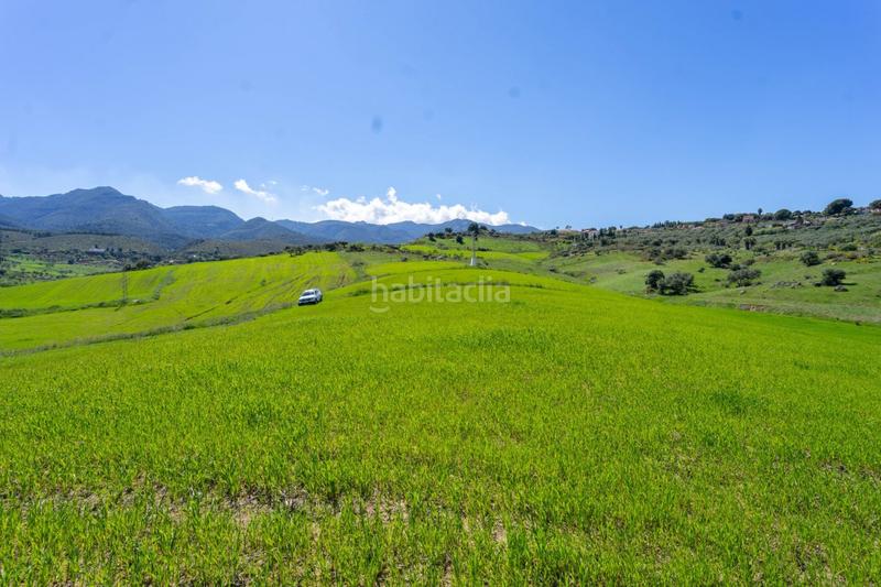 Foto 9975140f-6ec6-4992-919e-8e42cb8150c2. Fondo rustico in Buenavista-Lauro Golf Alhaurín de la Torre