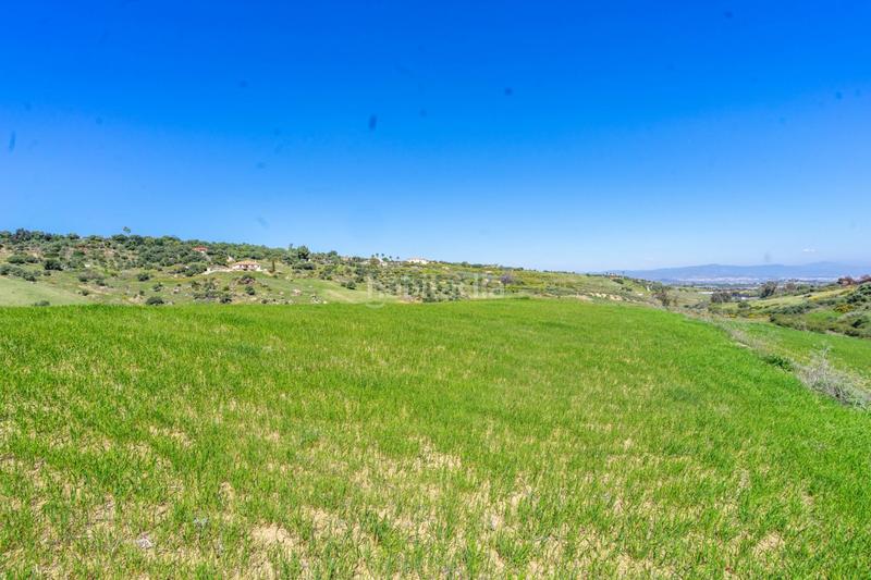 Foto b85c46d6-c92b-4c56-875a-bc3d14a6f967. Fondo rustico in Buenavista-Lauro Golf Alhaurín de la Torre