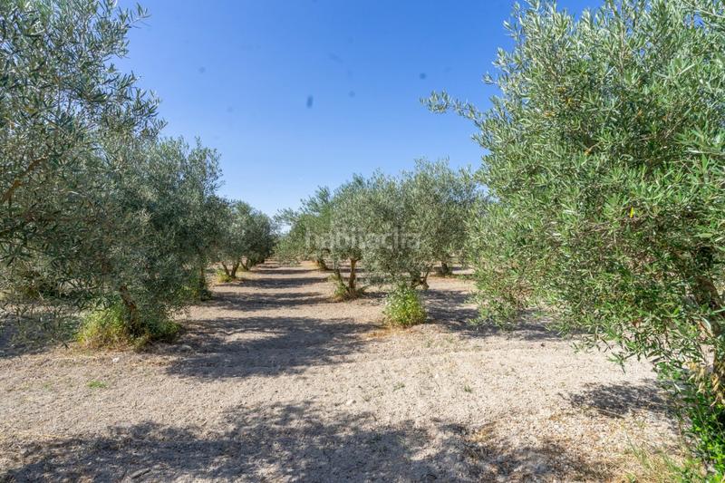 Foto 0346db7e-c767-4acc-a53d-d256d1873d72. Propriété dans Centro Alhaurín el Grande