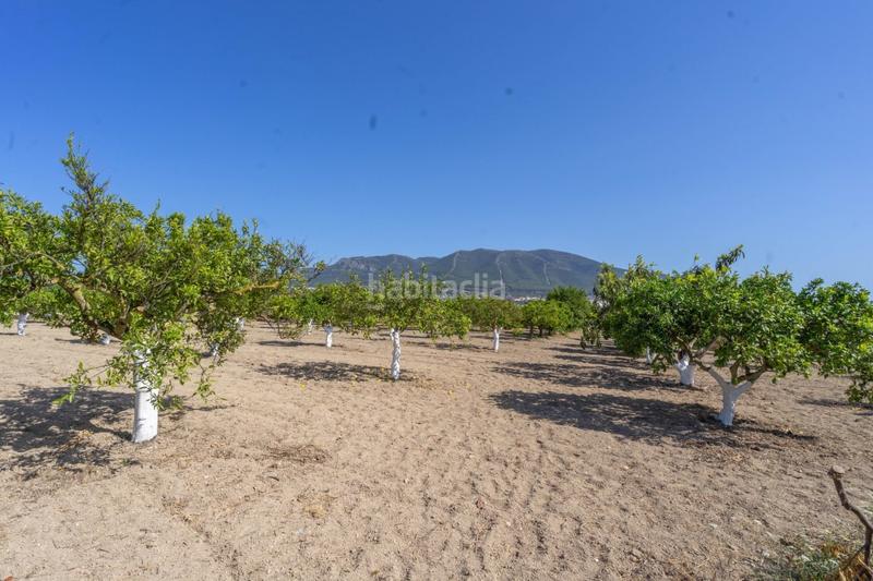 Foto 3a5e05c6-67cf-4f7f-9171-bafd6a788298. Propriété dans Centro Alhaurín el Grande