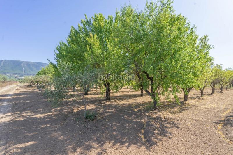 Foto 8674357f-880f-471c-be6e-0e9014f31cc7. Propriété dans Centro Alhaurín el Grande