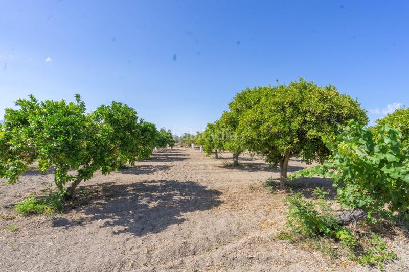 Foto d10dd5c7-e837-4b14-8859-9c87a33be5b1. Propriété dans Centro Alhaurín el Grande