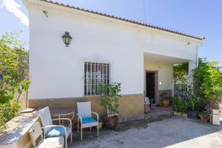 Xalet a Centro. Casa de campo cerca del pueblo, con pozo y árboles frutales
