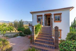 Affitto Attico in Centro. Apartamento en el campo, con terraza y parcela propia