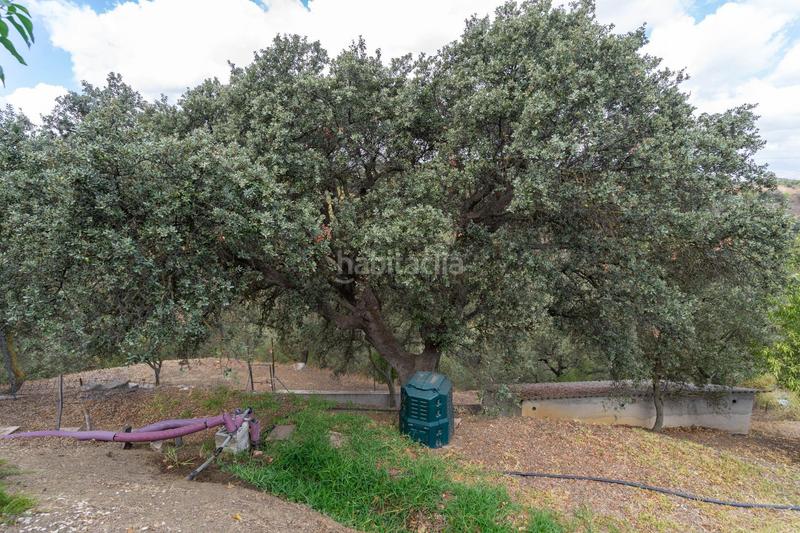 Foto 1039eba6-189b-4fb8-866a-02550720307d. Xalet amb aparcament piscina a Centro Alhaurín el Grande