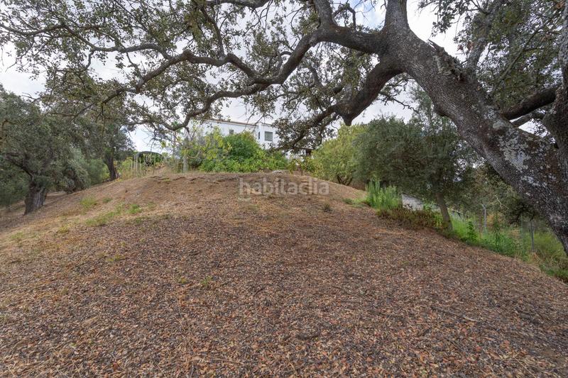 Foto 2930b857-d093-4c91-bd40-abd6dee9661c. Xalet amb aparcament piscina a Centro Alhaurín el Grande