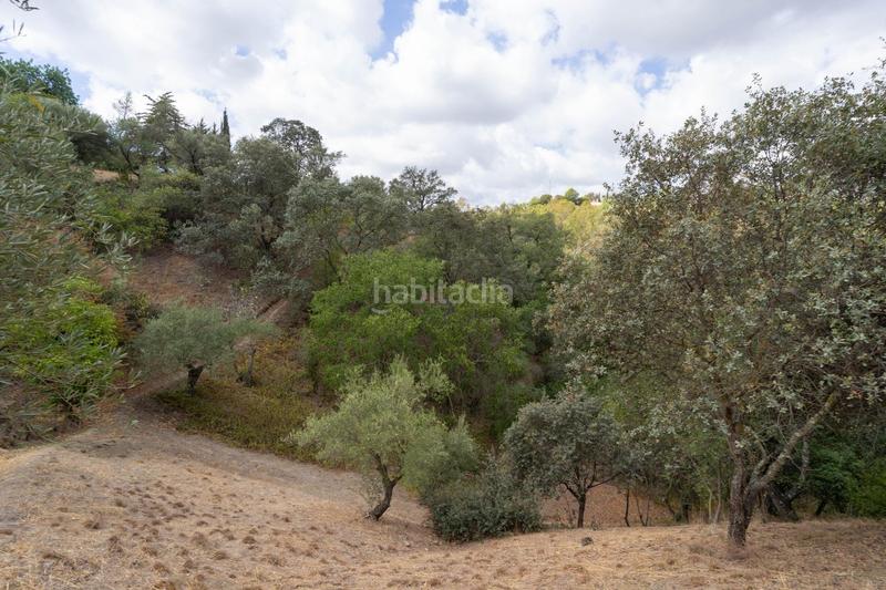Foto 56096c13-b844-4280-84bf-c624f164c474. Xalet amb aparcament piscina a Centro Alhaurín el Grande