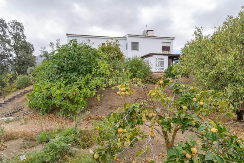 Foto 819a5d7e-4918-4d02-b5e0-f7aeff3da7be. Xalet amb aparcament piscina a Centro Alhaurín el Grande