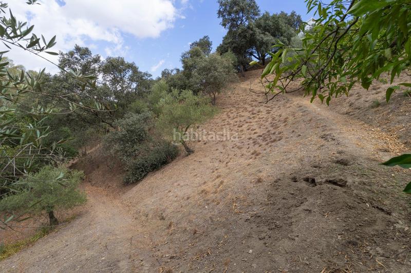 Foto e6b06b9f-7ae1-4e0c-b120-2d6cf5f6803f. Xalet amb aparcament piscina a Centro Alhaurín el Grande