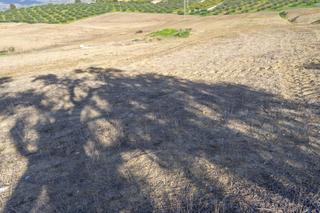 Finca rústica a Villafranco del Guadalhorce. Terreno rústico en zona de villafranco