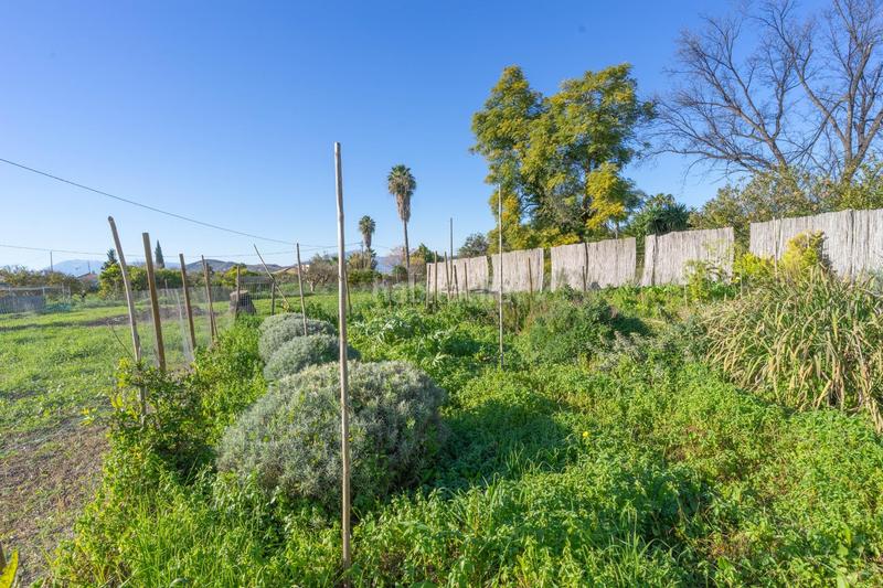 Foto 0cf43047-e0f1-4505-a4f8-d805335bca48. Chalet with parking in Centro Alhaurín el Grande