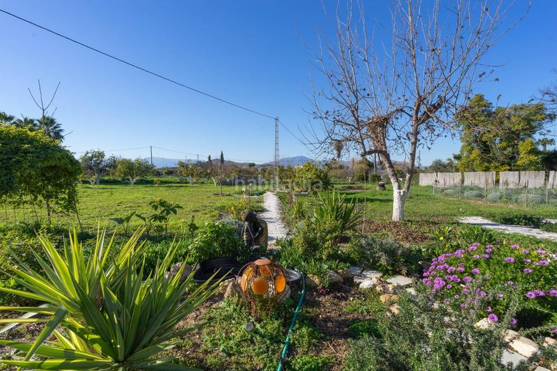 Foto 97a71c11-c46b-49fe-b6b6-210b398dffa7. Chalet with parking in Centro Alhaurín el Grande