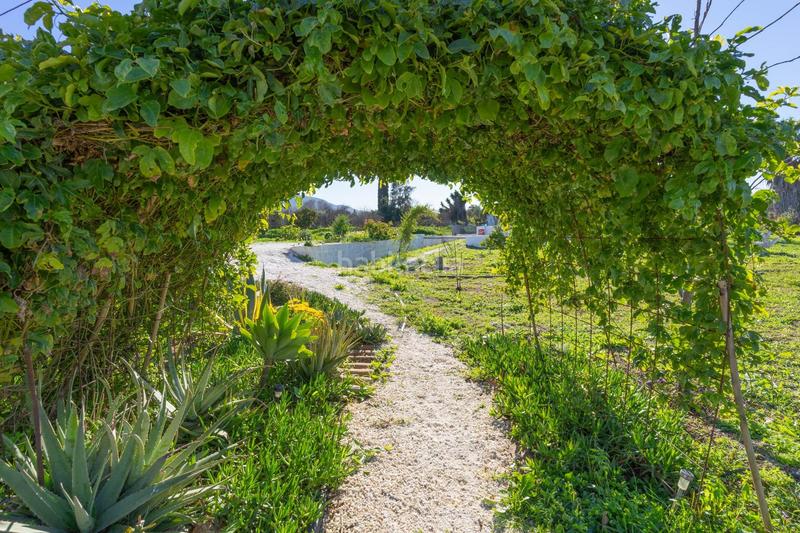 Foto e06568f8-64d6-44d9-93b4-f01e122dfa31. Chalet with parking in Centro Alhaurín el Grande