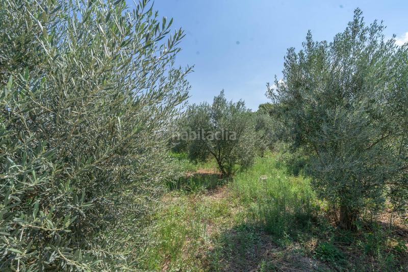 Foto e9f6cae2-f97d-4a3d-b09c-4619be41b51c. Chalet with parking in Centro Alhaurín el Grande